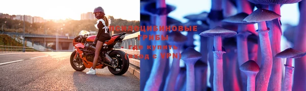 ешки Абдулино