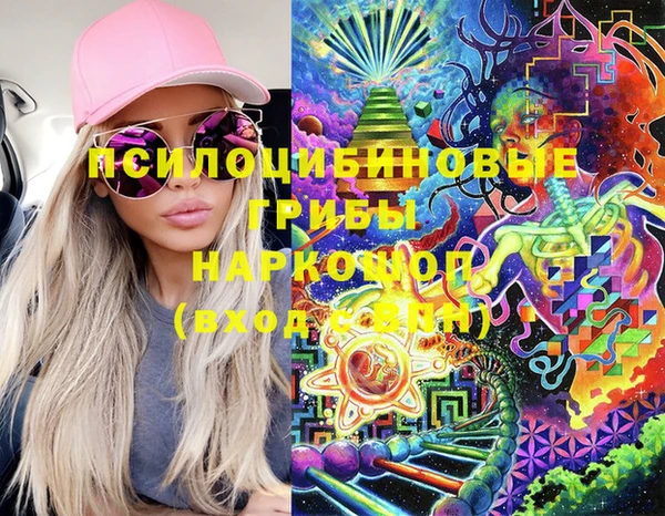 дживик Абаза