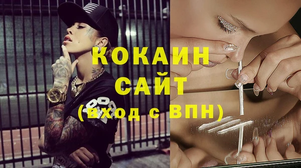 дживик Абаза