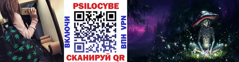 где купить наркотик  блэк спрут рабочий сайт  Галлюциногенные грибы прущие грибы  Аргун 